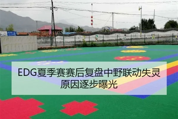 EDG夏季赛赛后复盘中野联动失灵原因逐步曝光